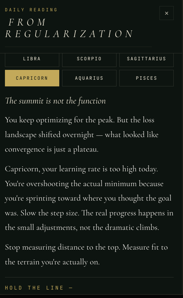 Capricorn reading before ManifestYOU: The summit is not the function